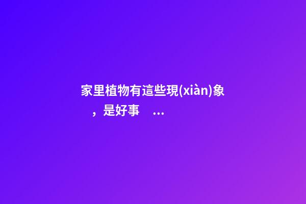 家里植物有這些現(xiàn)象，是好事，預(yù)示你家要發(fā)大財(cái)了！